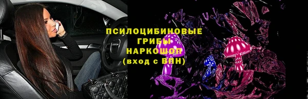 шишки Алексин