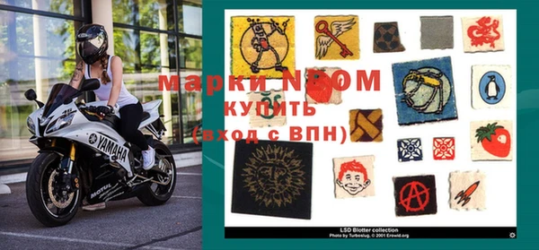 ПСИЛОЦИБИНОВЫЕ ГРИБЫ Сатка