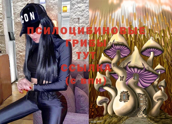 шишки Алексин